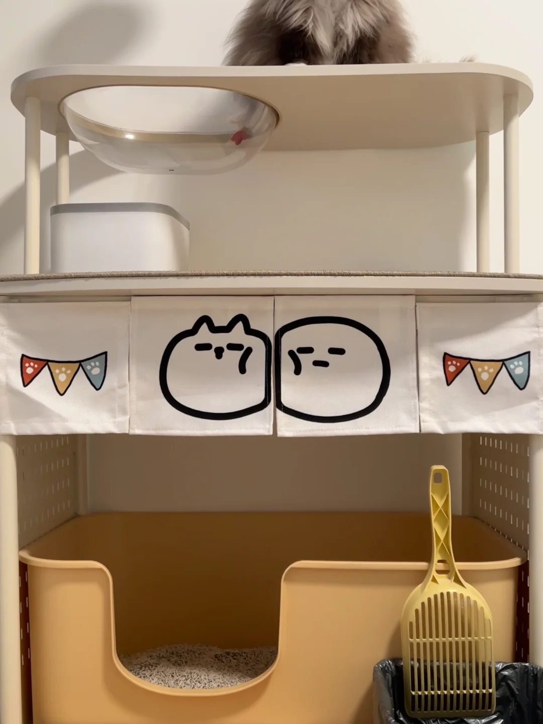 猫厕所🚾竣工