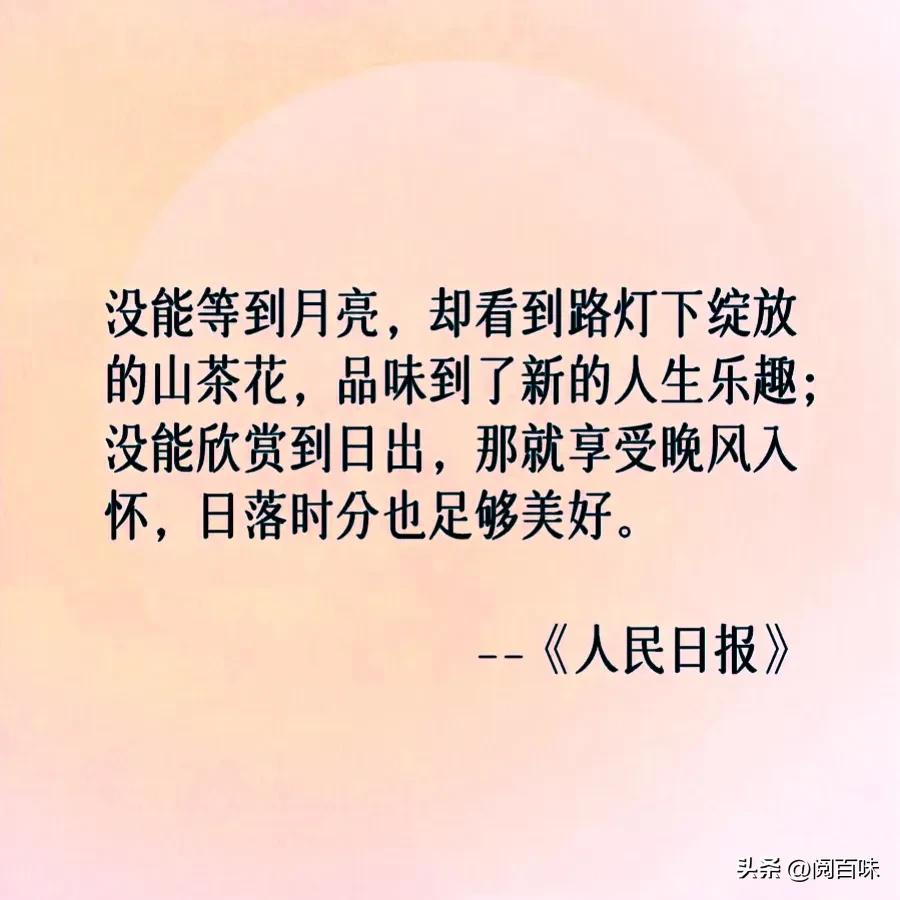 #每日一悟#