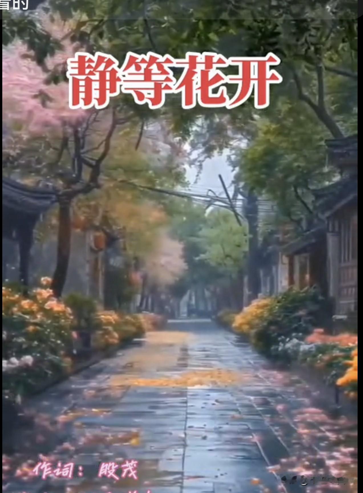 最近听了股茂老师创作的歌词《静等花开》，歌词正能量满得都要溢出来了，搭配上好听的