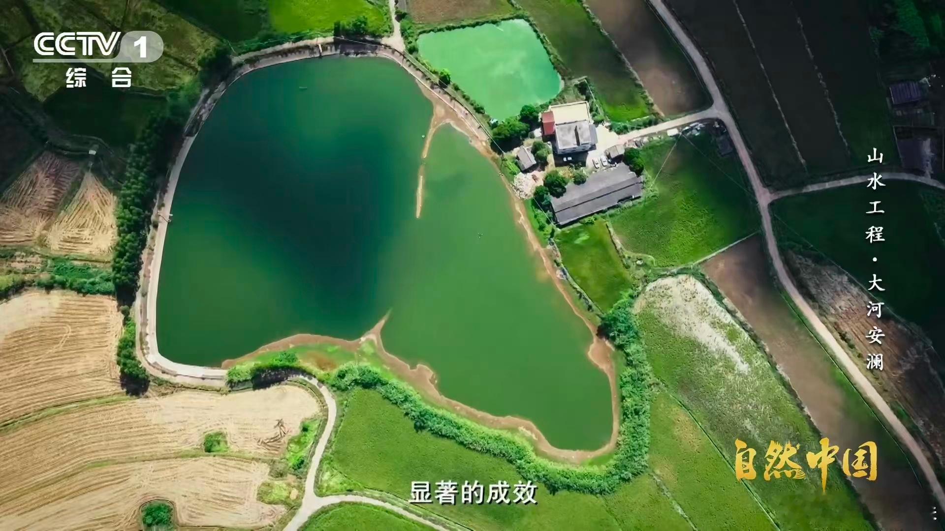 中国这项山水工程成世界范例 山水林田湖草沙一体化保护与修复工程的成效太惊人了，1