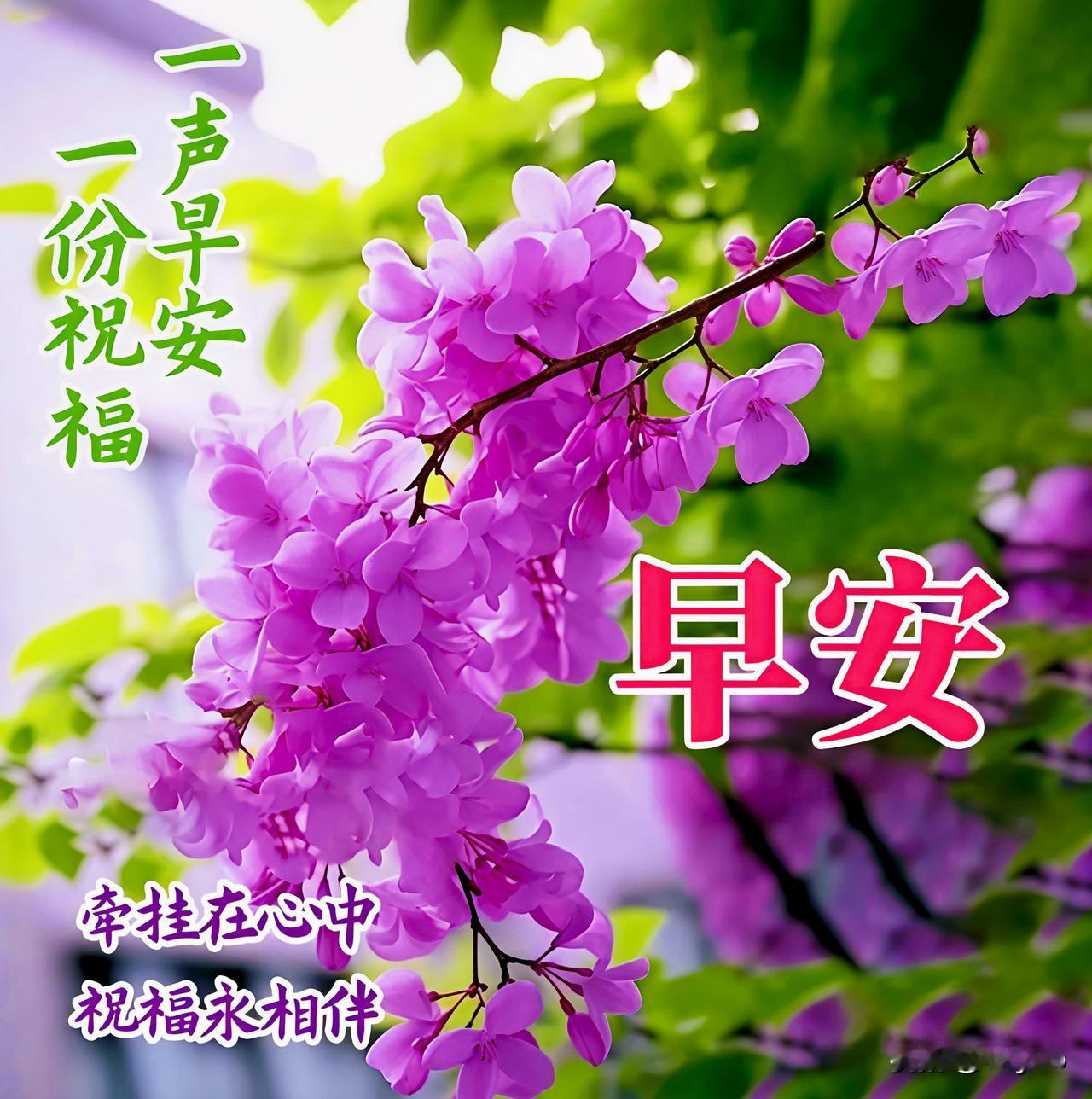 日子，贵在简单安稳，
生活，纵有步履匆匆，
情意，始终纯粹真切，
幸福，向来踏实