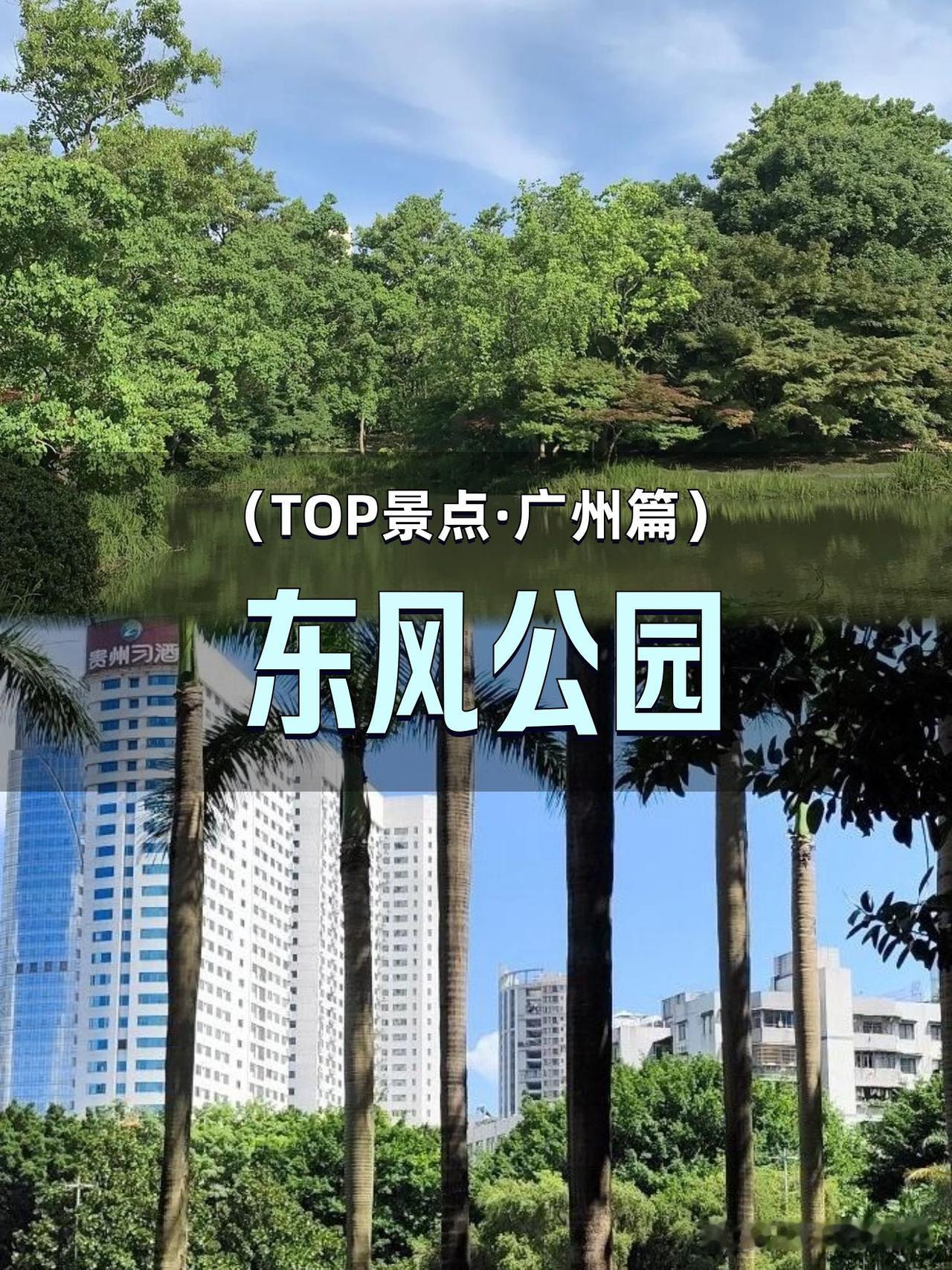 🌳私藏城市绿肺｜解锁东风公园新玩法

每次踏入这里都像走进天然氧，绿意盎然的东