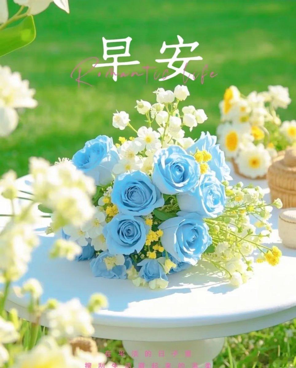 早安[超话]早安 周末的风裹着夏日的热意，再普通的日子，也藏着专属你的浪漫惊喜。