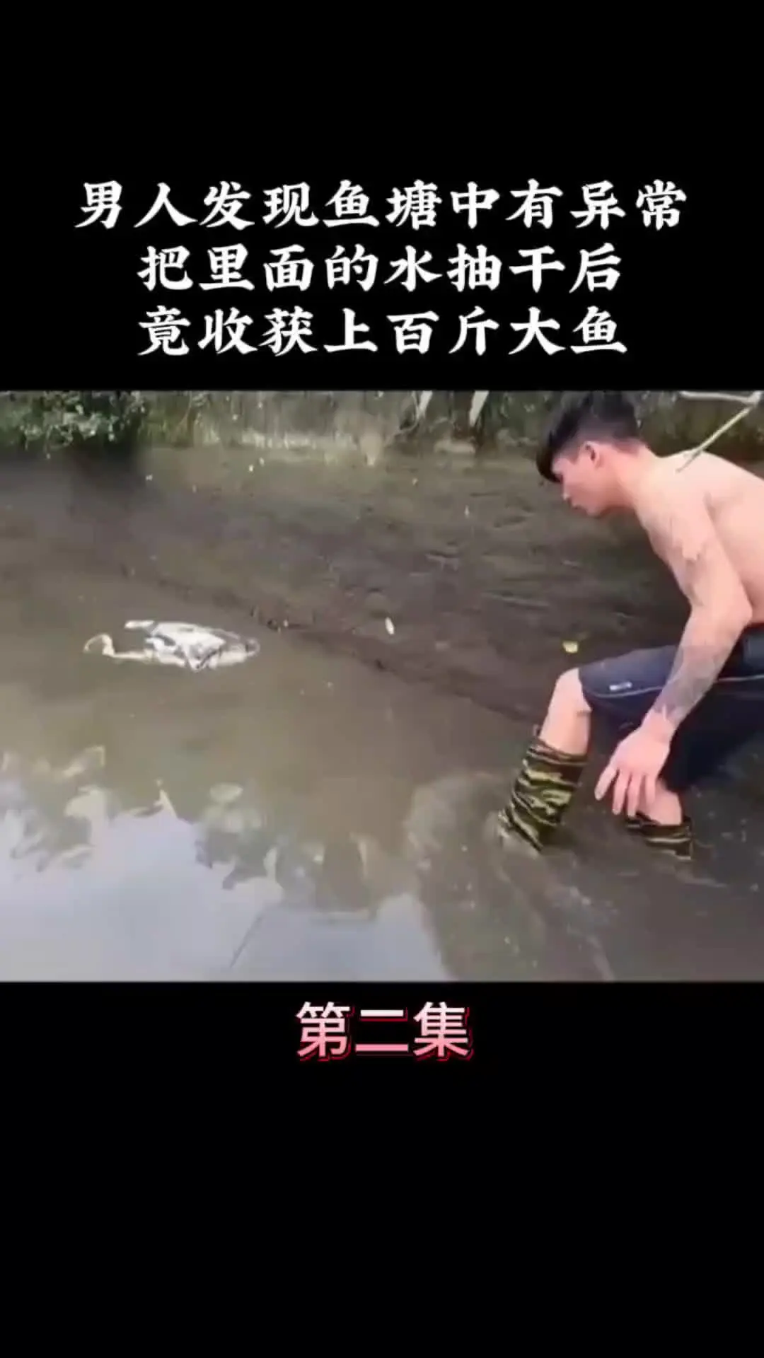 我的观影报告 内容启发搜索
