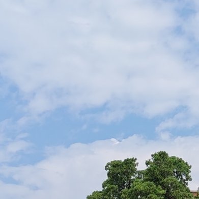 每日一善[超话][心]‍每日‎一善[心]‍阳光信用 善是一种美德，人善是一种修养