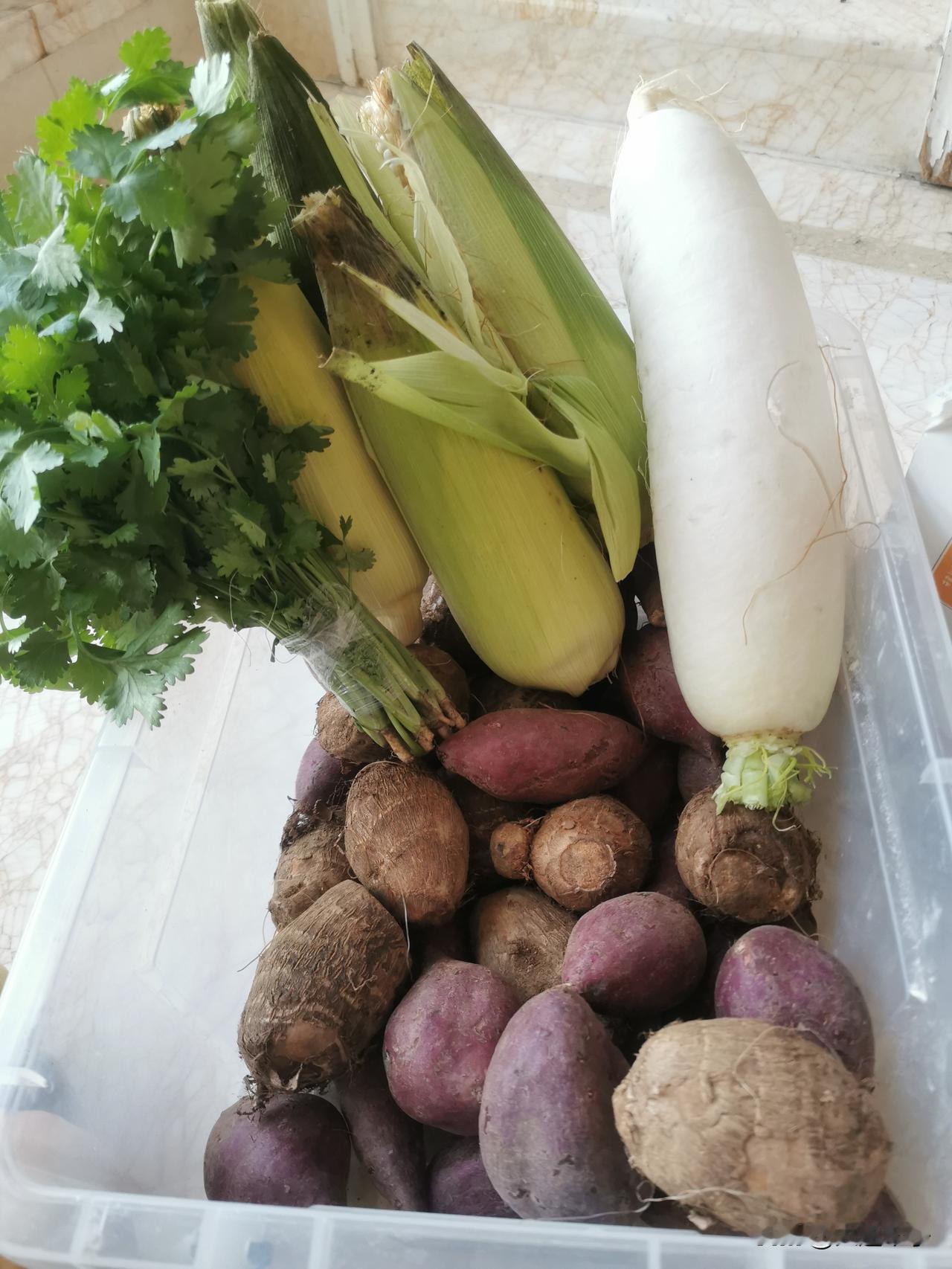 今天下午，去三八广场爱伦蛋糕店买月饼，路过新隆嘉超市，停下车进去看看，好长时间没