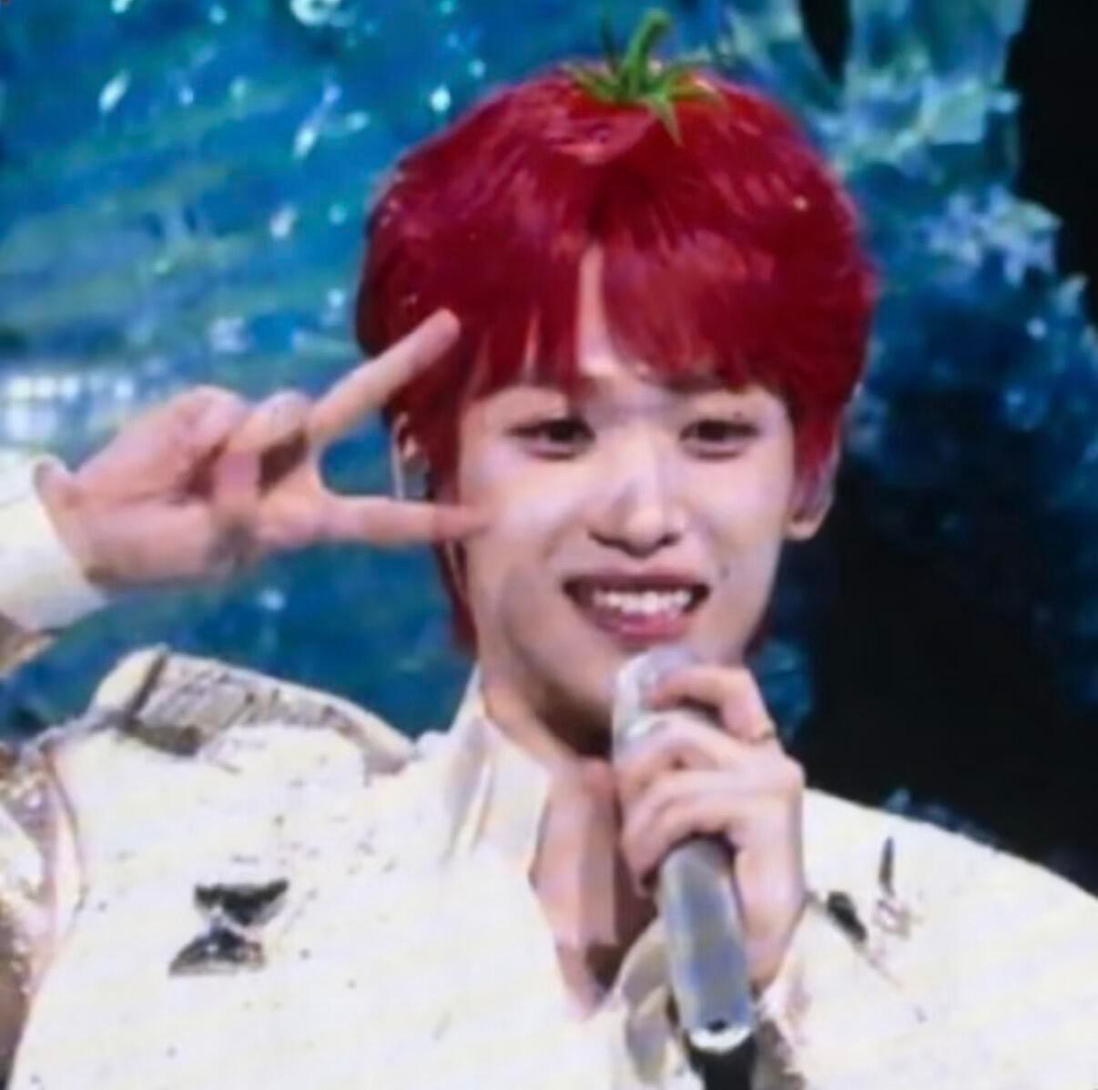 竟对一颗洋柿梓生出别样情愫 