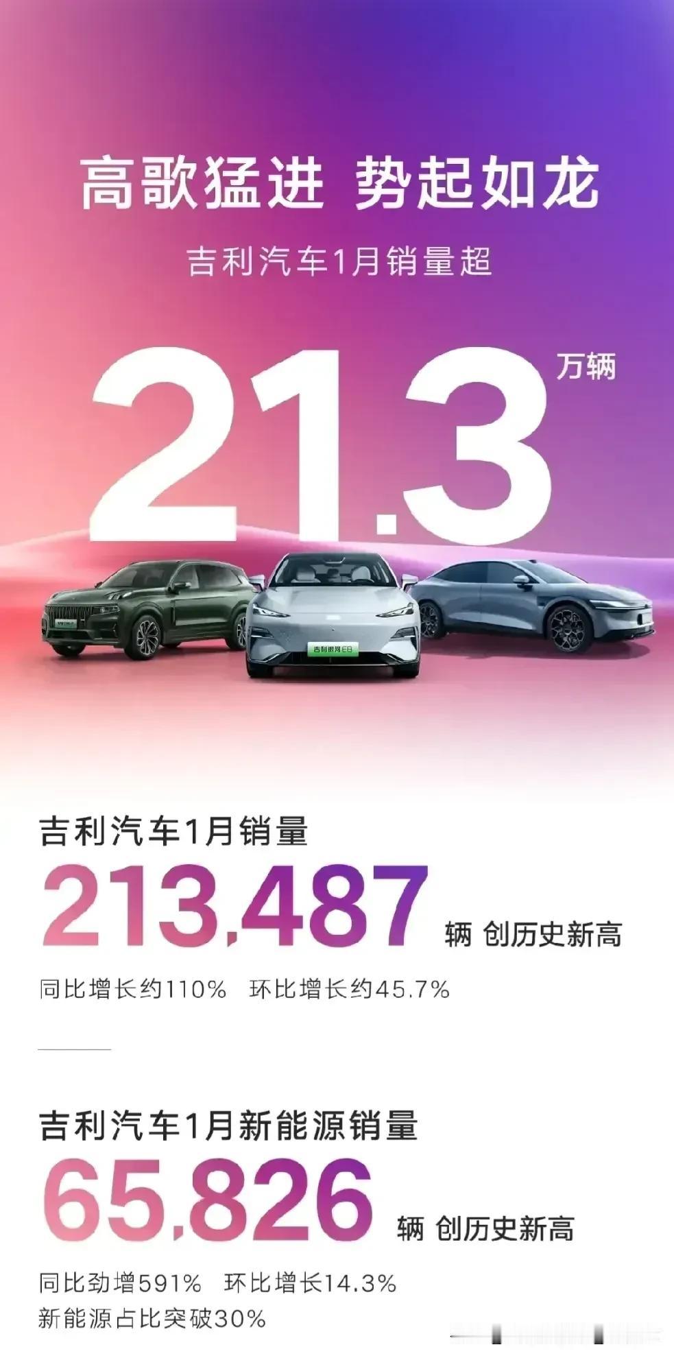 震惊了！吉利一月份的销量超越比亚迪，拿下中国新能源汽车市场一月份的销冠，当我看到