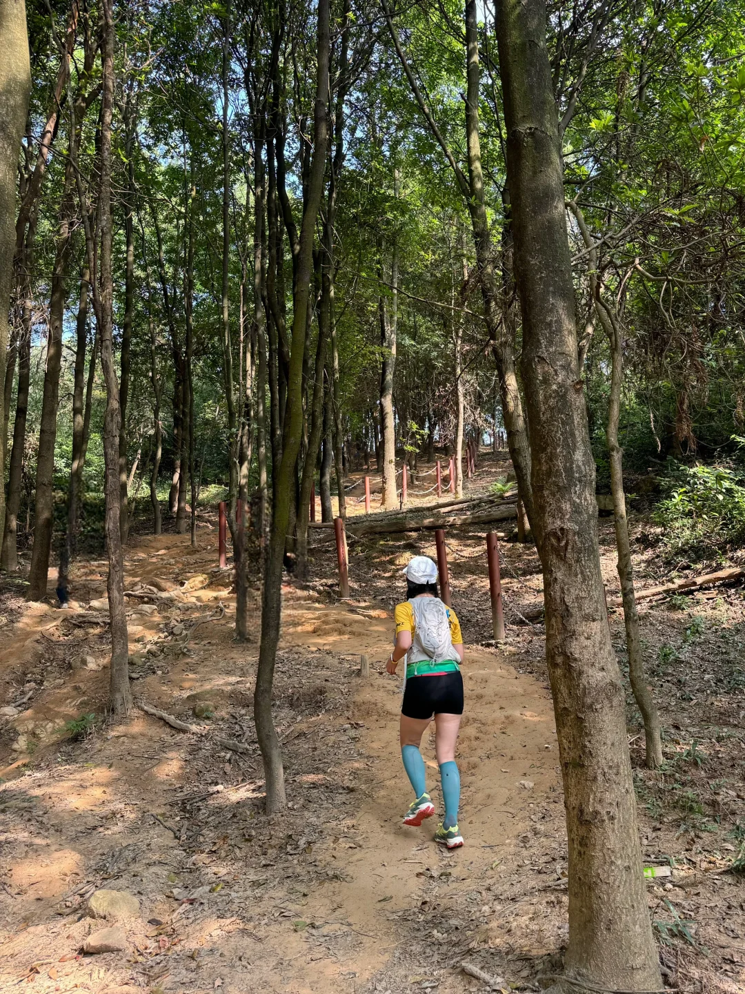 广州越野跑大神，是不是都在猪凤猪训练😍