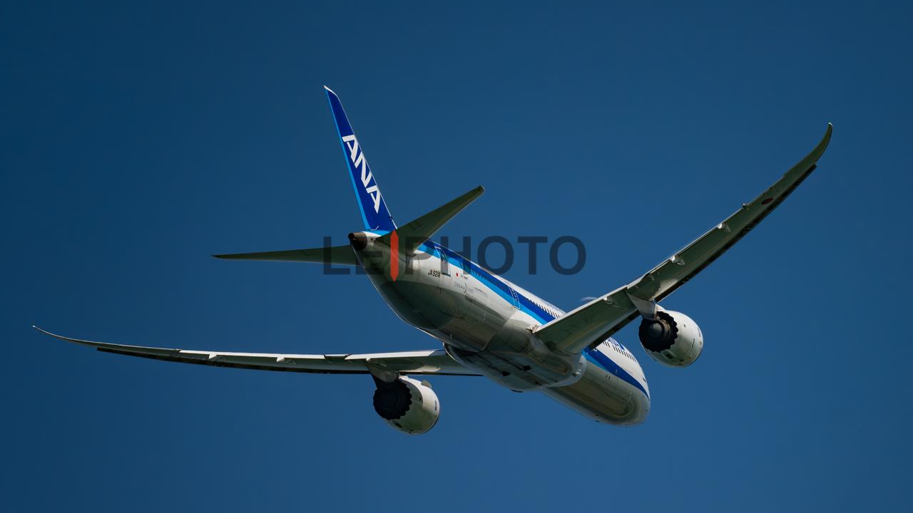 全日空ANA是本子最大航司，查了一下它竟然还是跛音787客机首发用户呢，目前运行