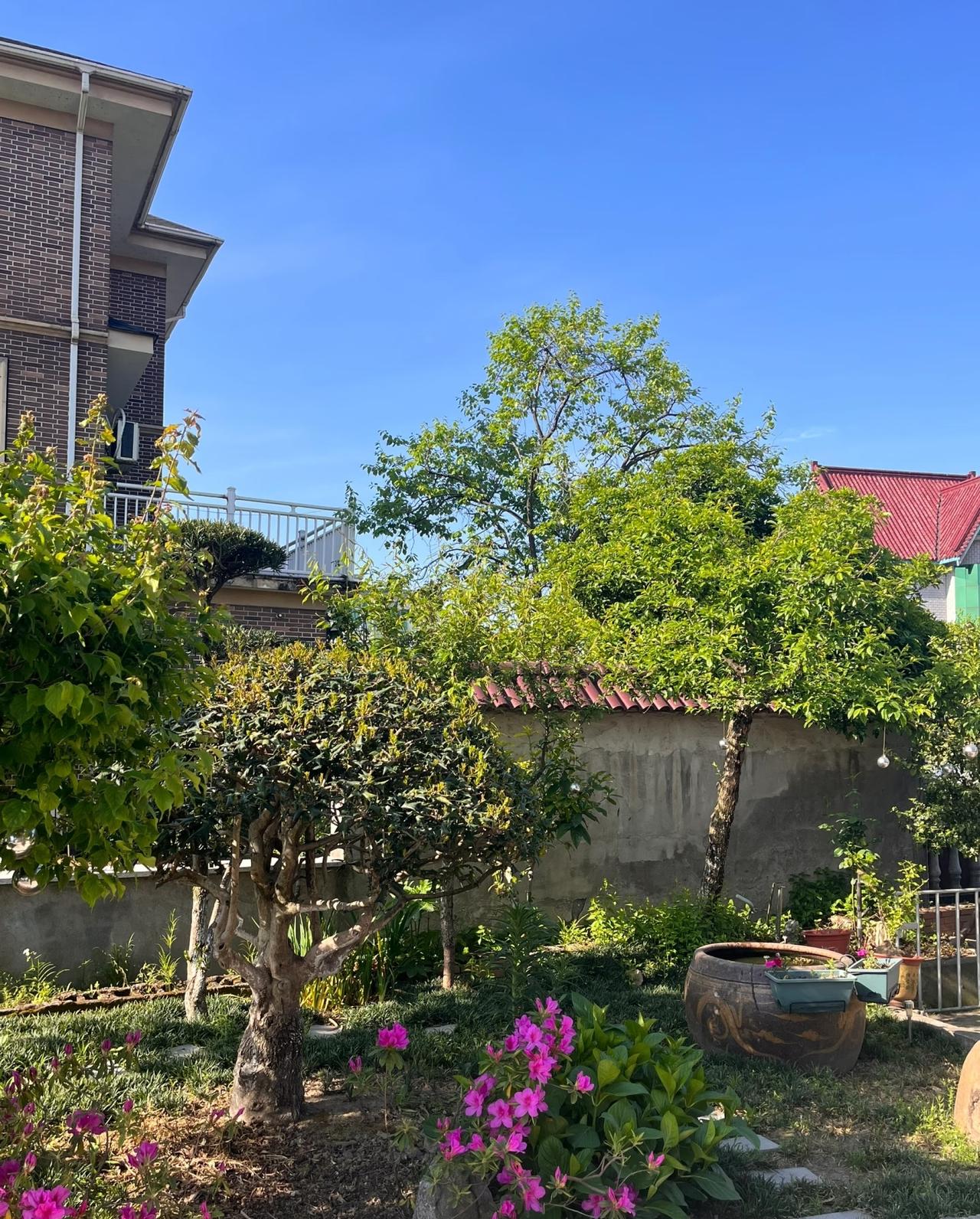 有个小房子 
小房子里面种点花花草草 
可能老了
才会过上这样的生活
向往的生活