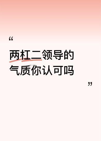 两杠二领导的气质你认可吗