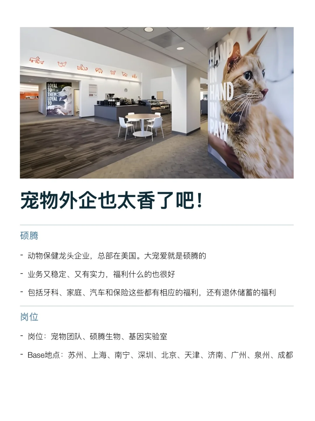 宠物类的外企真的没人想去吗