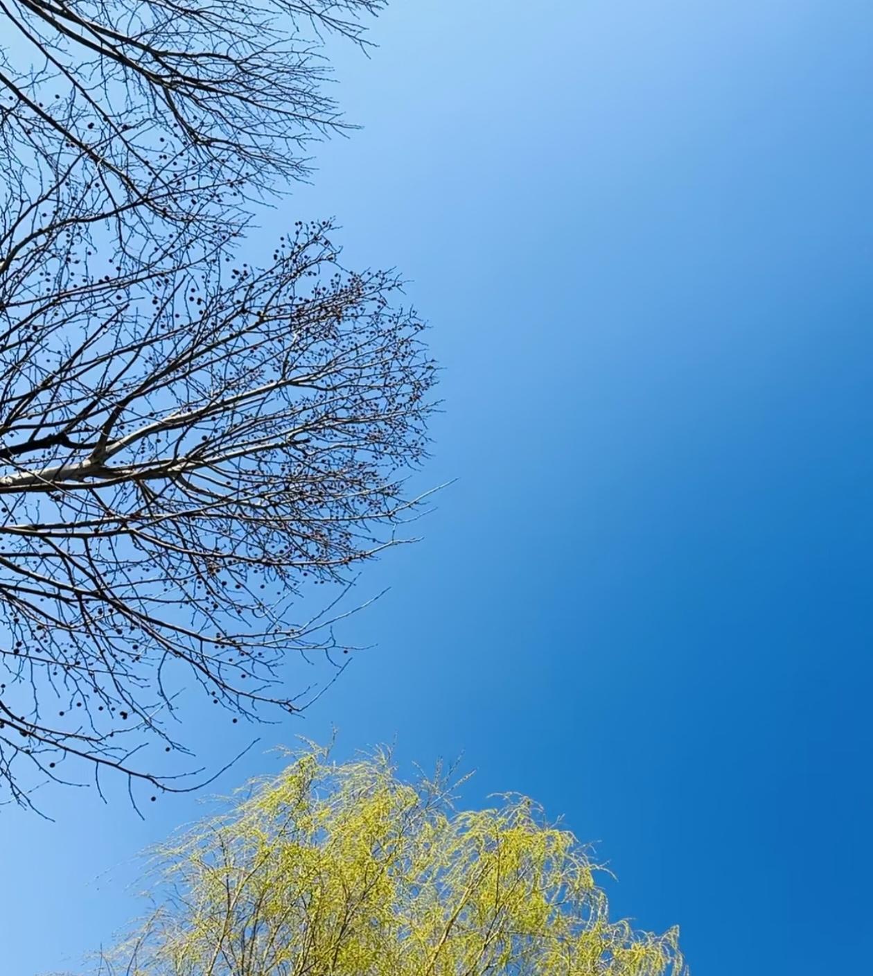 工资12万刚到账，我打给老公8万还房贷，突然手机弹出消息：你丈夫已为前妻女儿缴纳