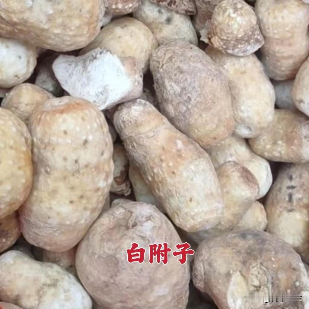 附子 白附子 是一种药物吗？怎么区分？
有一些对中医知识不够了解的朋友，经常会问