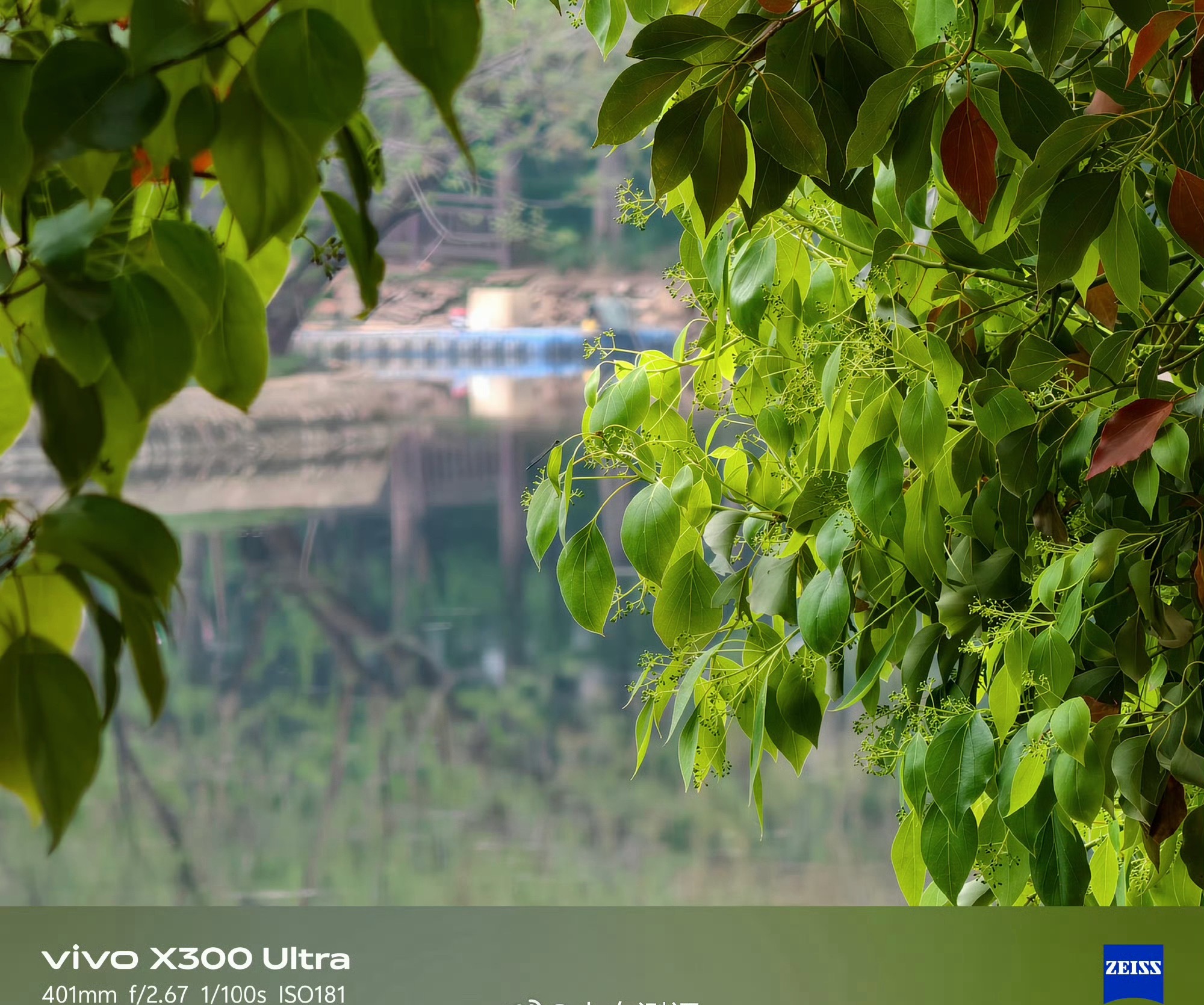 今天来点vivo X300 Ultra随手拍手机直出跟加上400mm大炮增距镜对