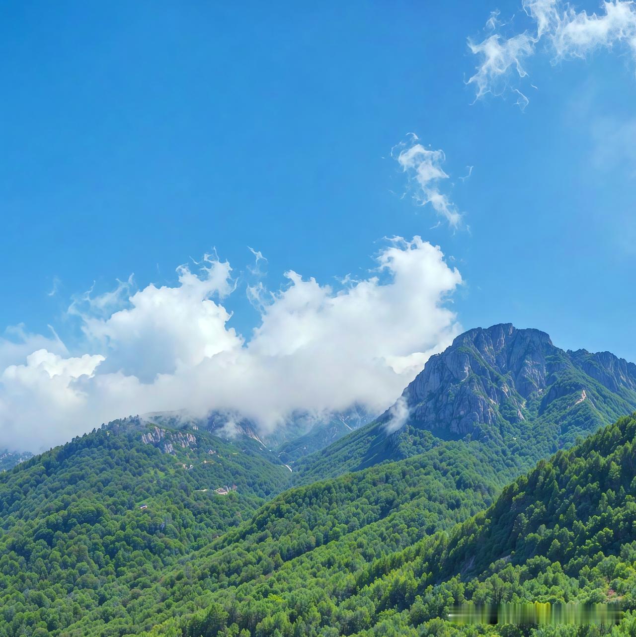 上周找了个藏在浙西山区的小众自驾点，沿着盘山公路往上开，转过第三个弯道的时候直接