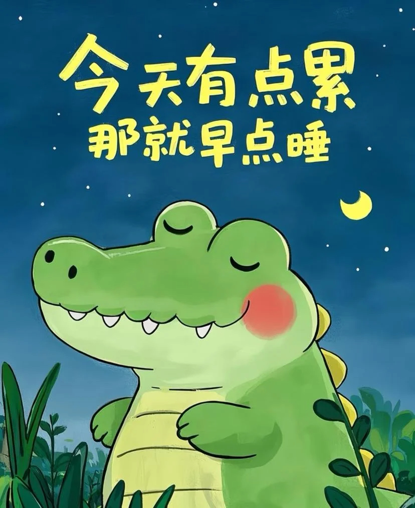早点睡觉了，晚安 