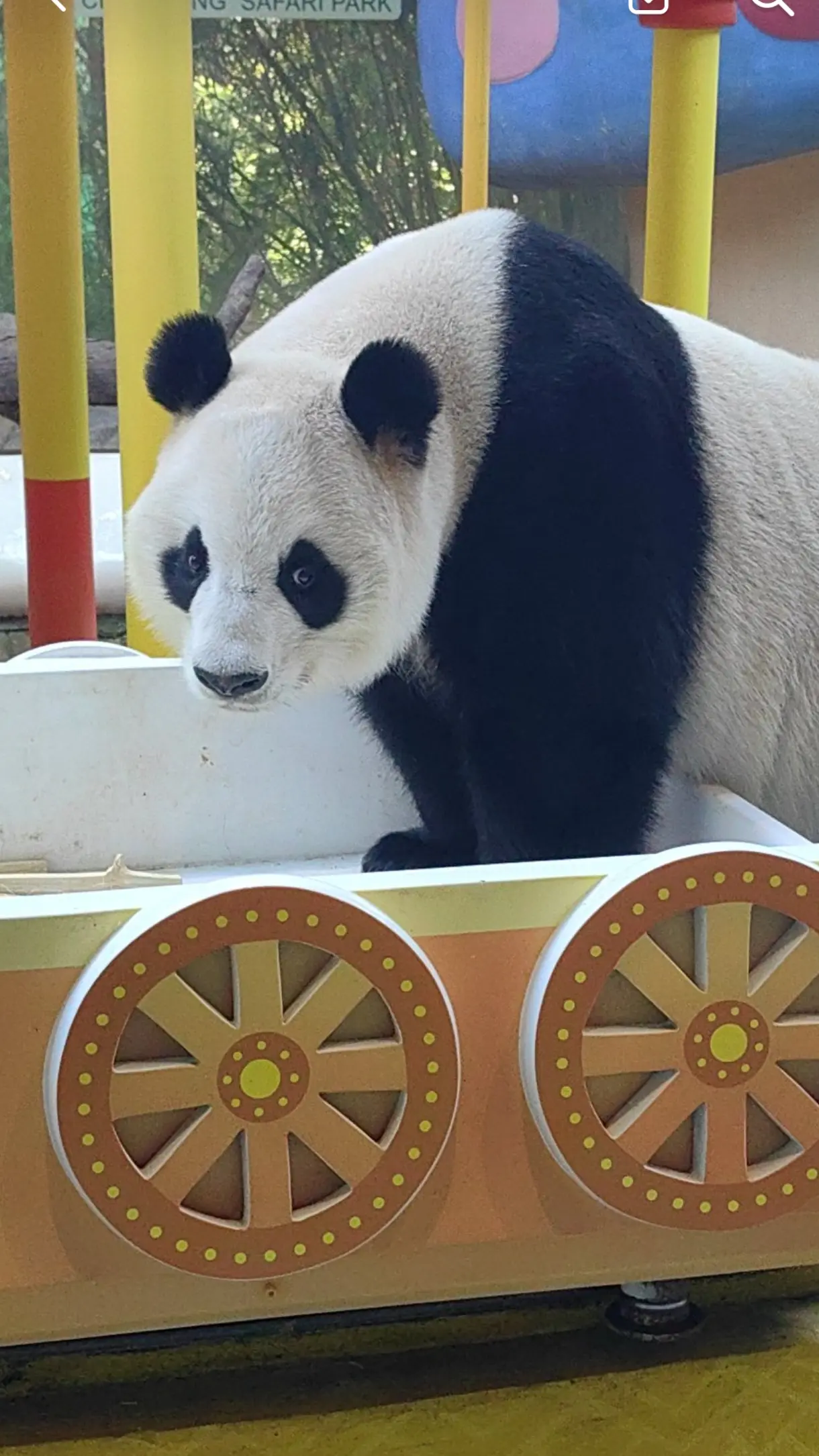漂亮的贵妃😚