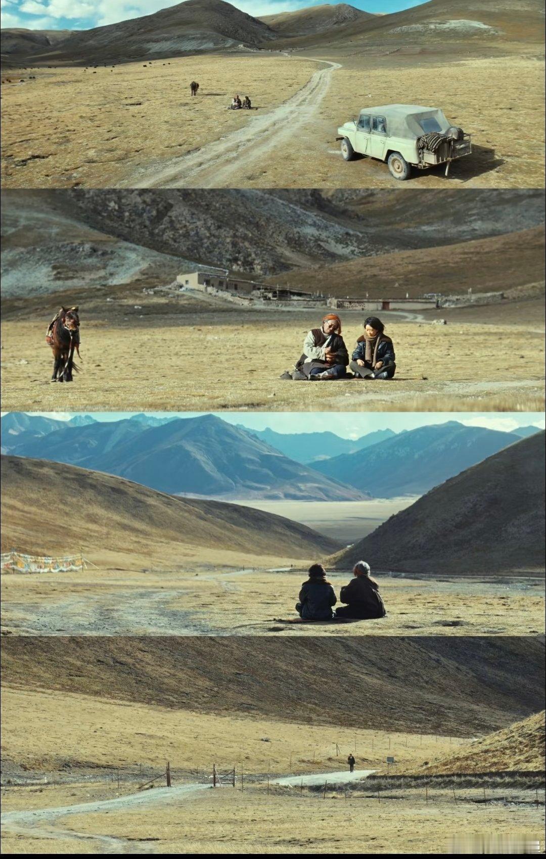 生命树镜头美学给到夯 无人区实景太震撼，每一帧都藏着极致的镜头美学！ 