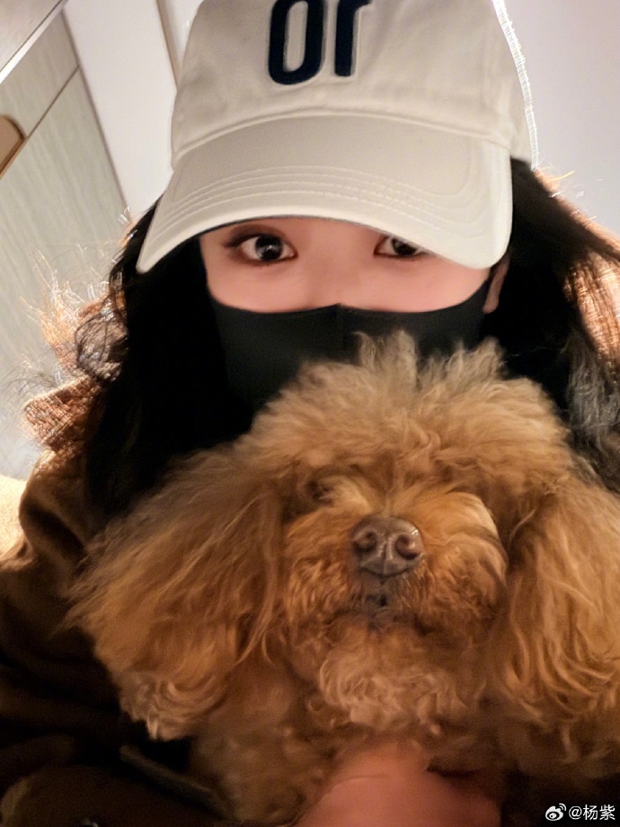 杨紫元宵节六宫格营业杨紫元宵节发董竹君白菊营业 杨紫元宵节营业了！六宫格里董竹君