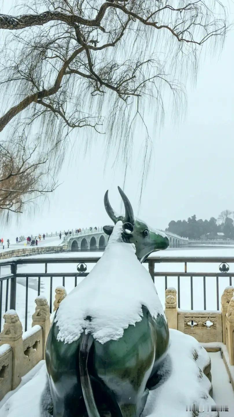 今年冬天的不同冬日的神牛，身披白色的服装，窥视者冰冻的河流！