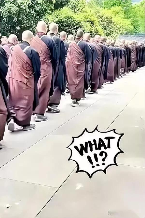 去了趟灵隐寺

我彻底懵了

放眼望去全是年轻僧人。本来以为千年古刹，得是胡子花