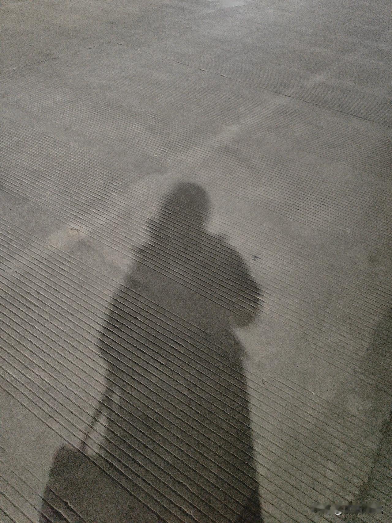 一个人形单影只，一个人吃饭，一个人刷剧，一个人逛街……