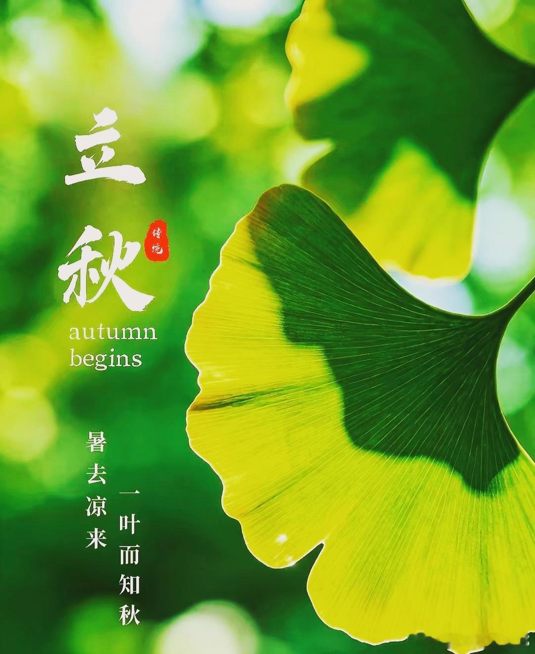 今日立秋🍂 希望我们的秋天 都有数不尽的开心和好运