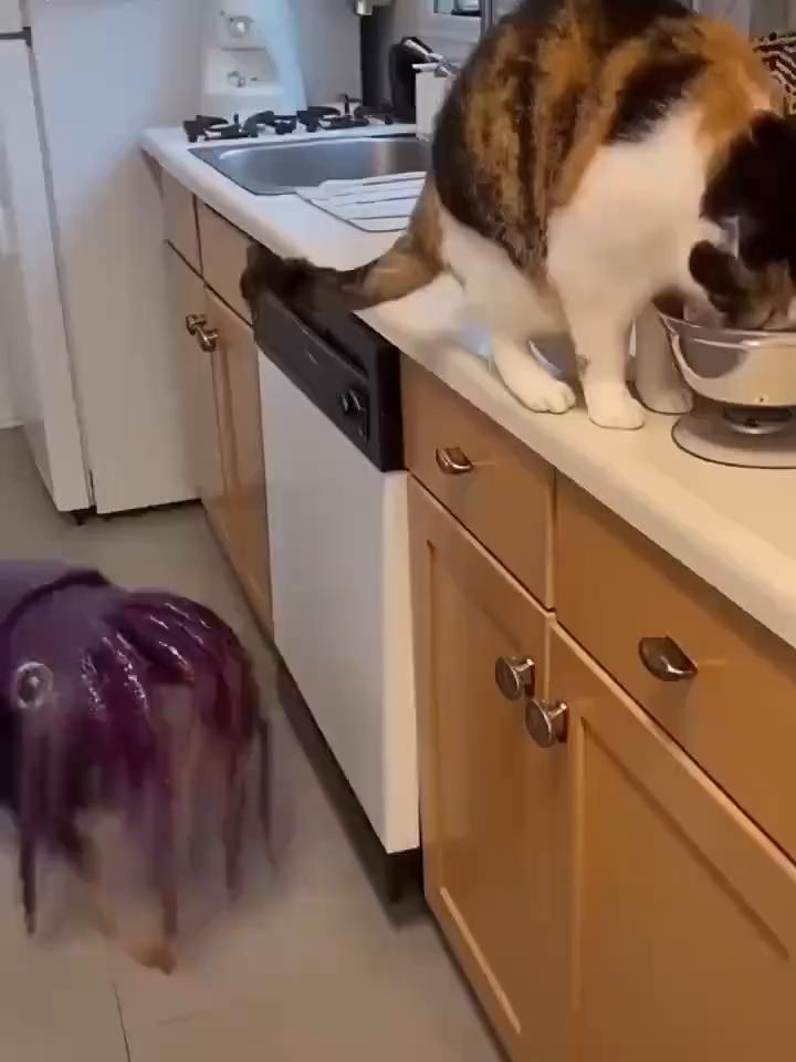 有你的陪伴，心情都好起来。