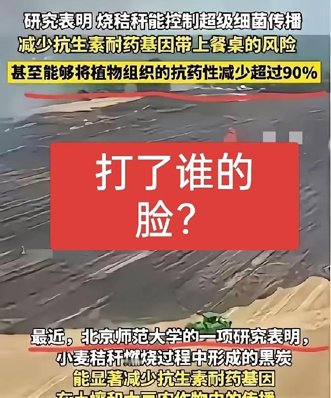 禁止焚烧农田秸秆到底是怎么样推出来的？打着保护环境的旗子误导了多少人！现在的研究