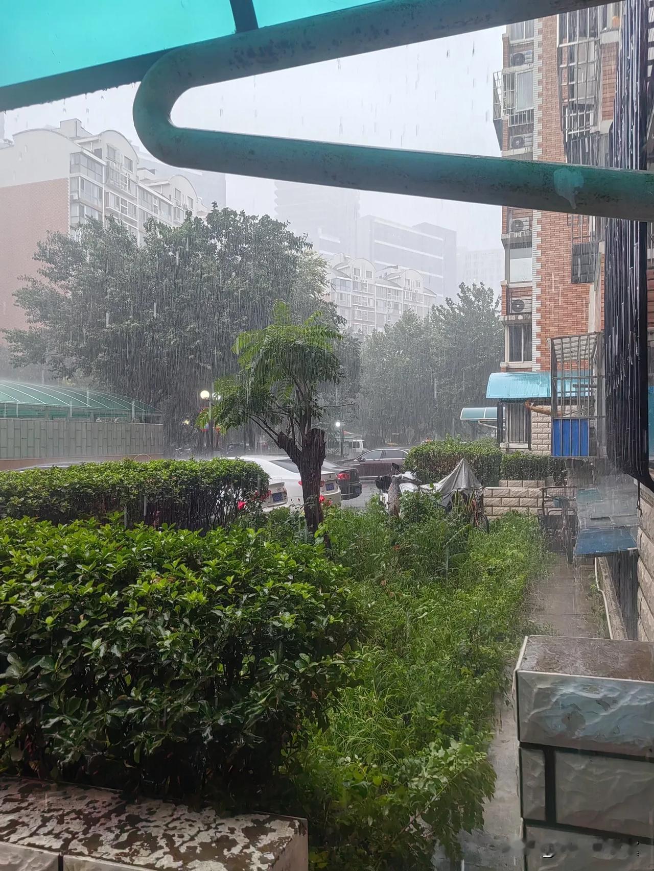 这是我送外卖以来遇到最大的暴雨，直接没法走，路上都下冒烟了！

我真想不通这些客
