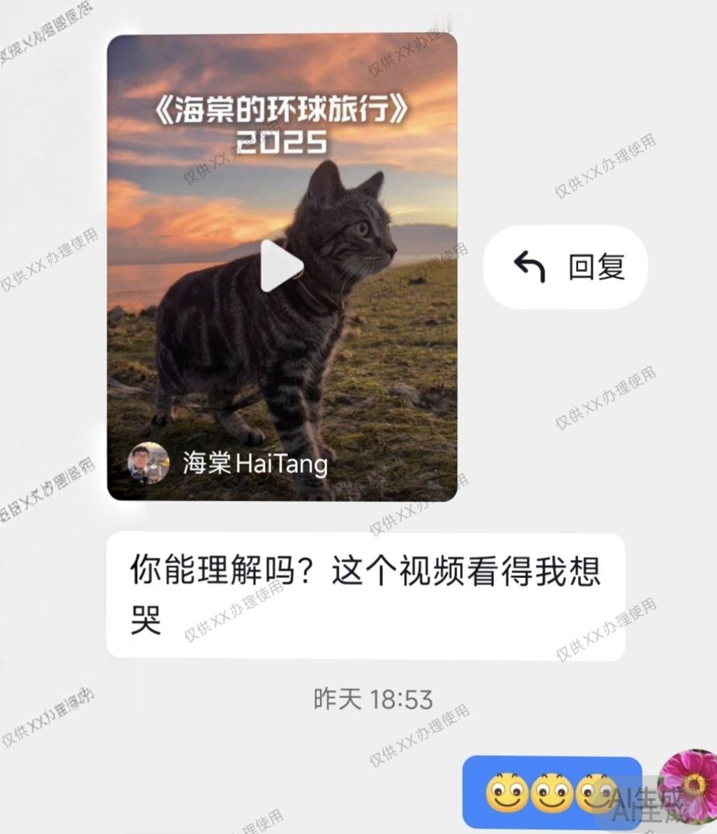 儿子发来一人一猫环游世界的视频，
他看得动容落泪，我却觉得平平无奇。
他说我们不