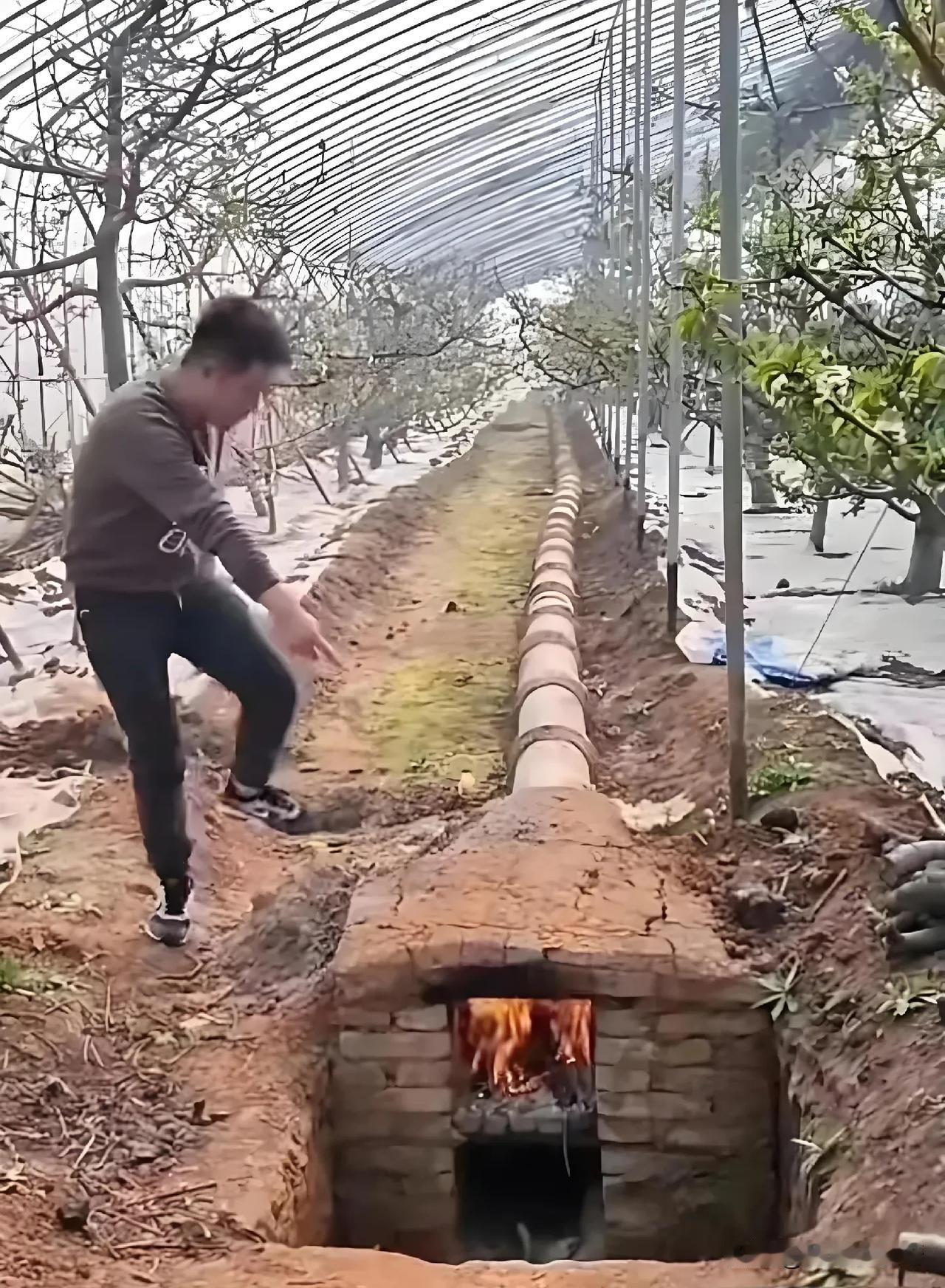 高温棚是这么来的？[震惊]