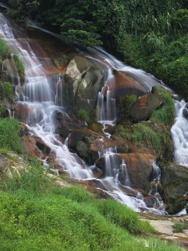 🌿白水山森林公园一日游全攻略

藏在市区的宝藏森林！既能吸氧又能拍大片，这份保