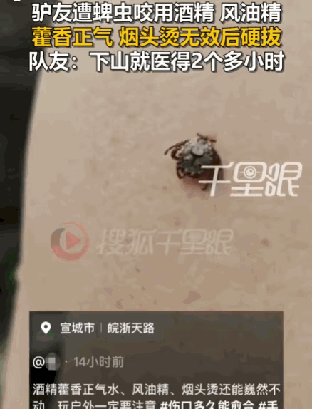 现在想起来都让人后背发凉。安徽宣城一名男子徒步走到半山腰时，不幸被蜱虫死死咬住。