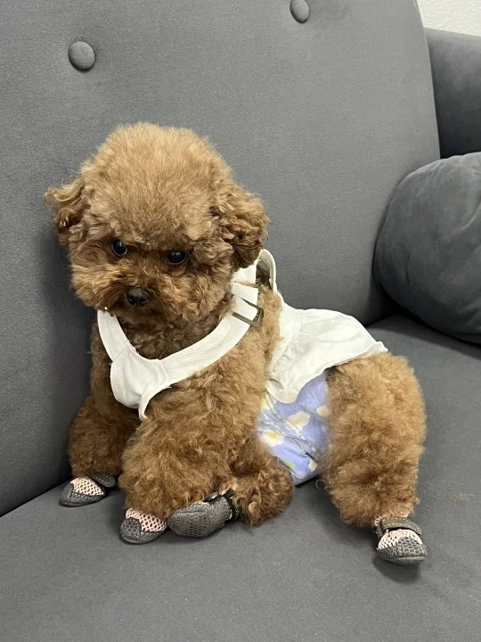 邪恶摇粒绒！！！