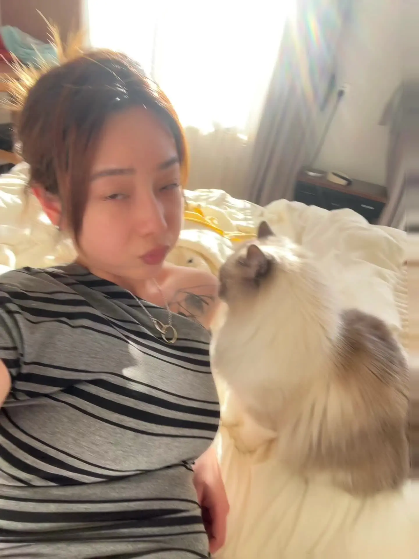 这么粘人的小猫咱居然有两只