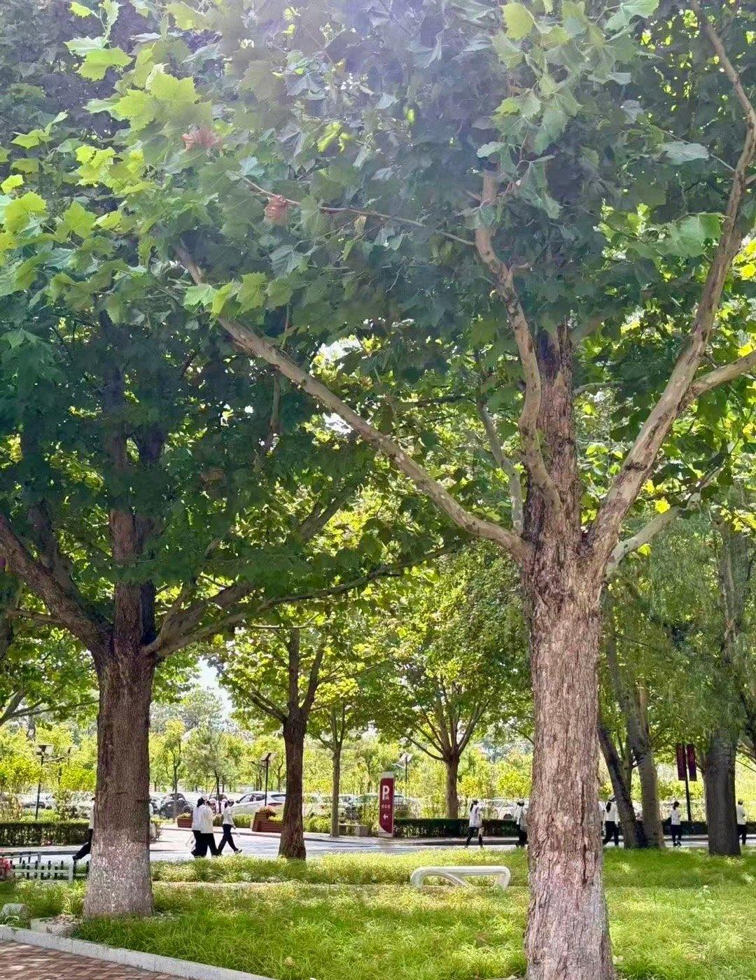 图片：赵娇月
文案：张丛舒
编辑：赵子涵