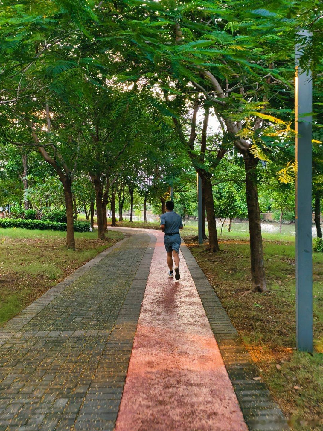 生态中山 下班citybike🚲之港口体育公园河涌绿地，从最东侧的体育馆停车场