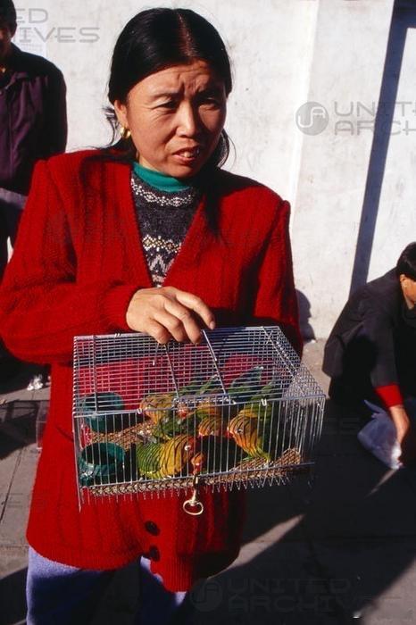 花鸟鱼虫市场，北京，1990年 ​​​