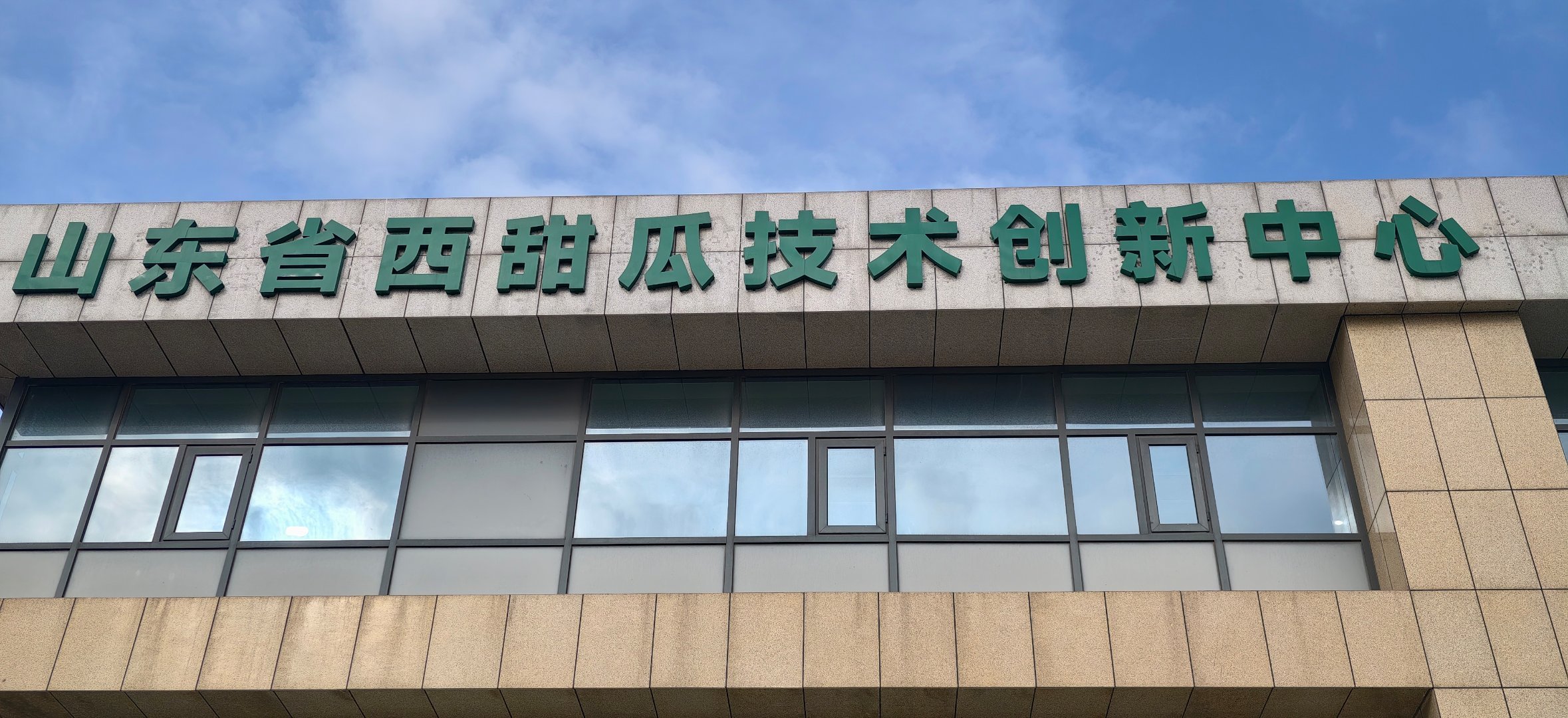 棚里藏着“甜”科技，寿光这家企业把西瓜种出了新高度……有人说农业靠天吃饭，但在这