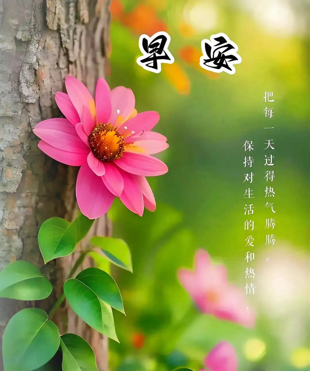 宁可无言，也别话多！（妙）

人呐！学说话，太容易，嘴巴一张一闭；学闭嘴，太难得