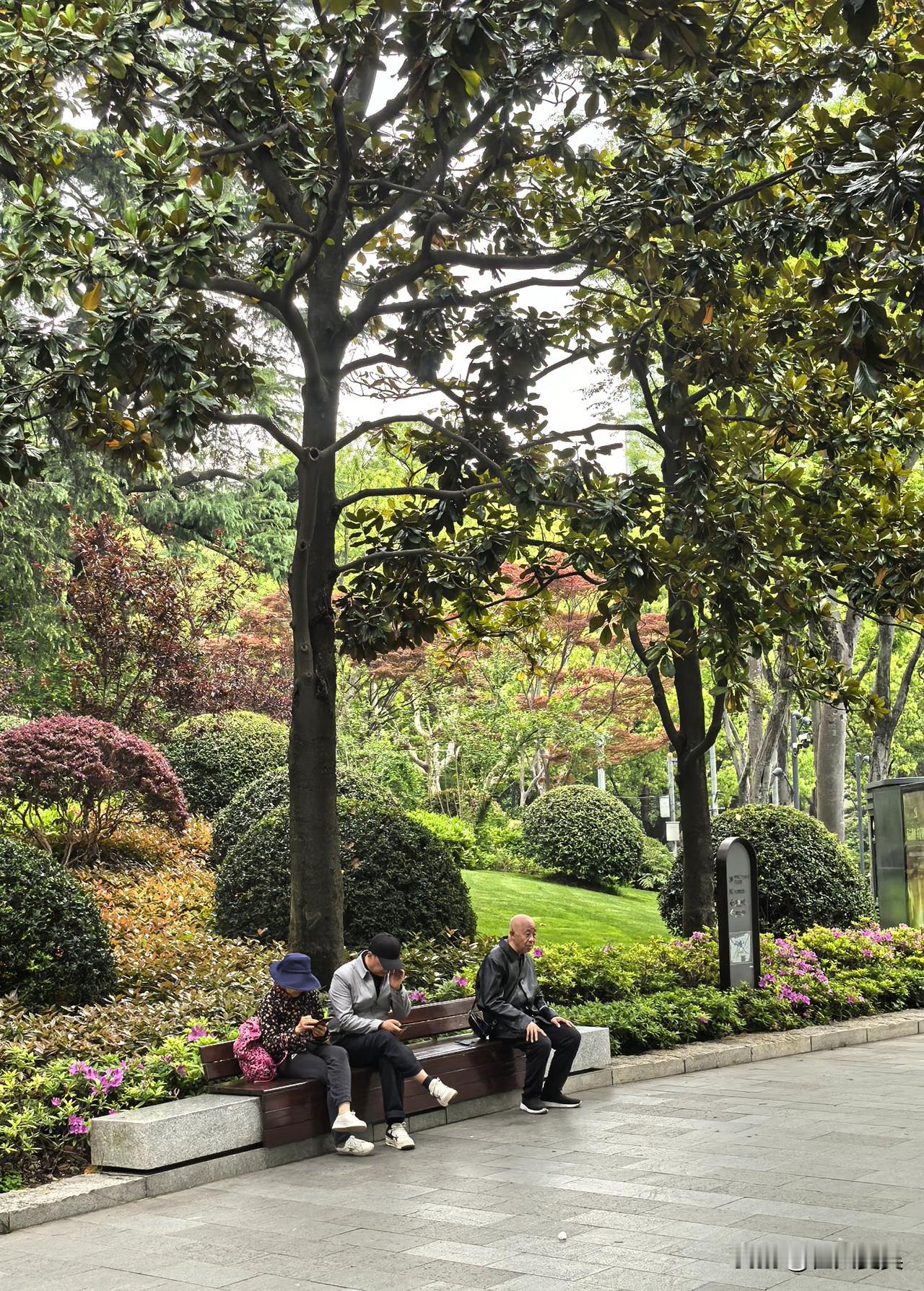 虽然说上海国际花卉节已经拉开帷幕，但整座城市早已被春天悄悄“占领”，不止花卉节各