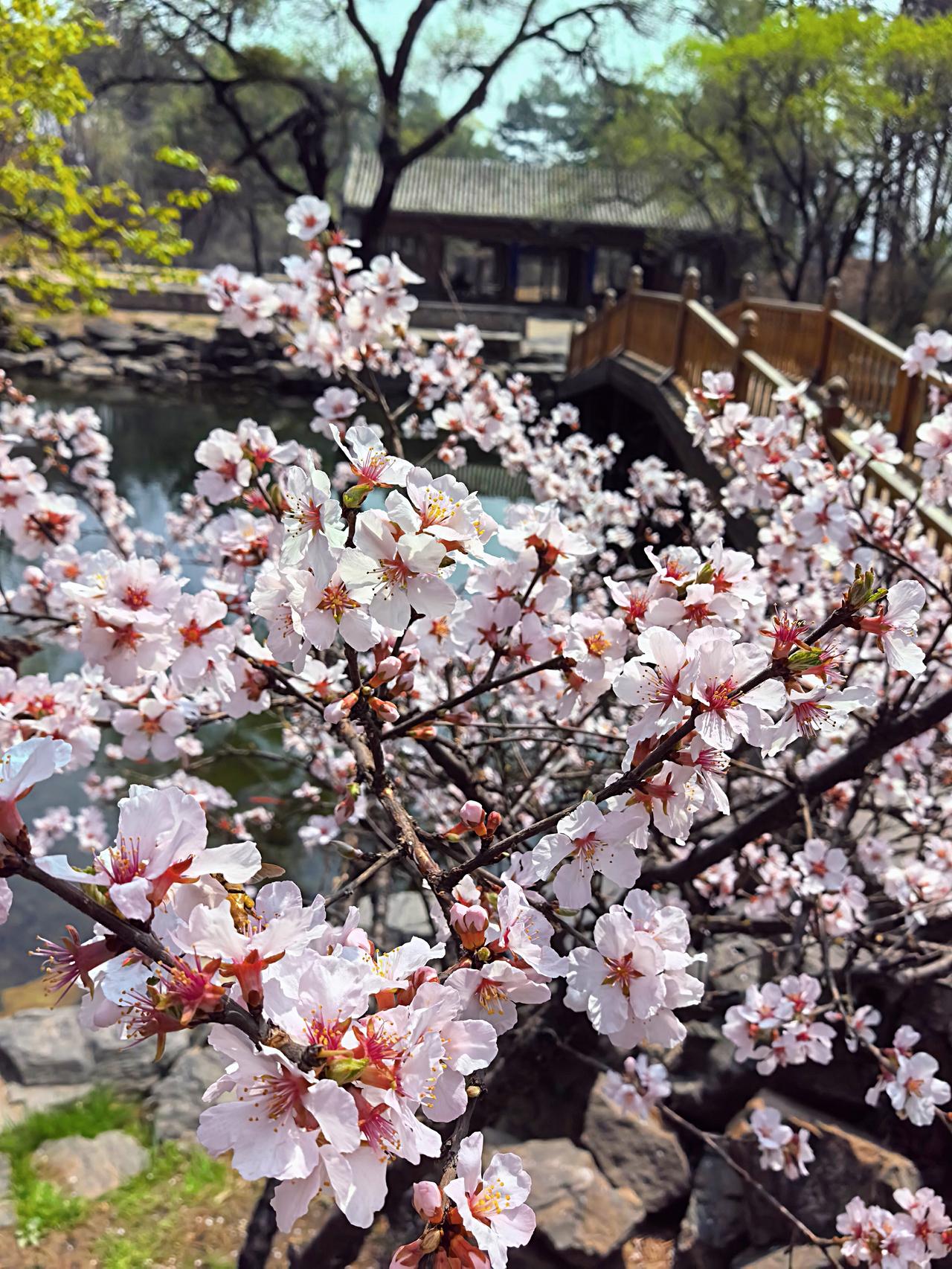 小鹰艾森豪威尔号航母也着火了，这是福特号航母着火后，又一艘航母着火。这两艘航母也