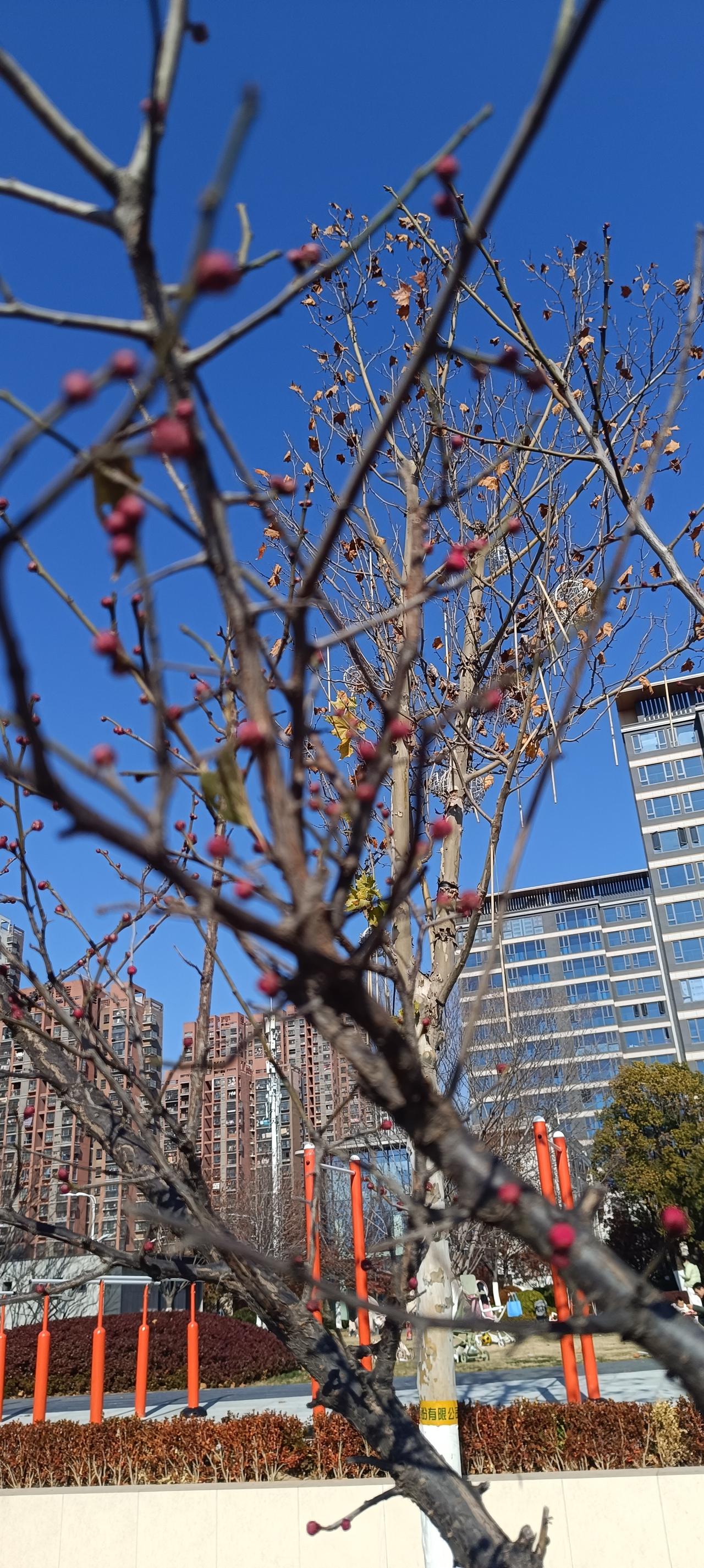 合肥人有福了，堪比胖东来的超市亮相了！