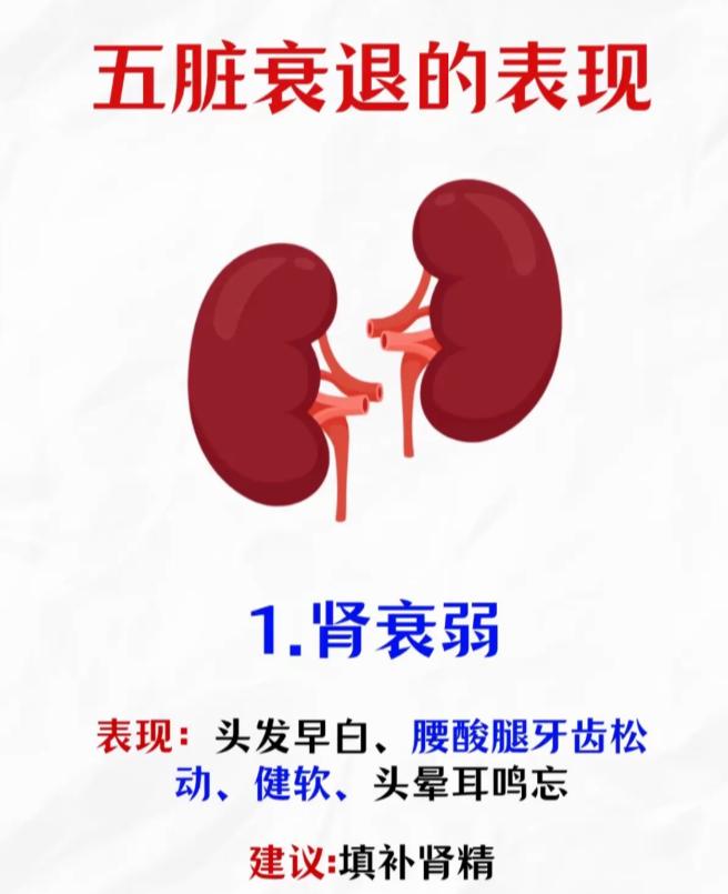 五脏功能衰退，身体会出现这些表现