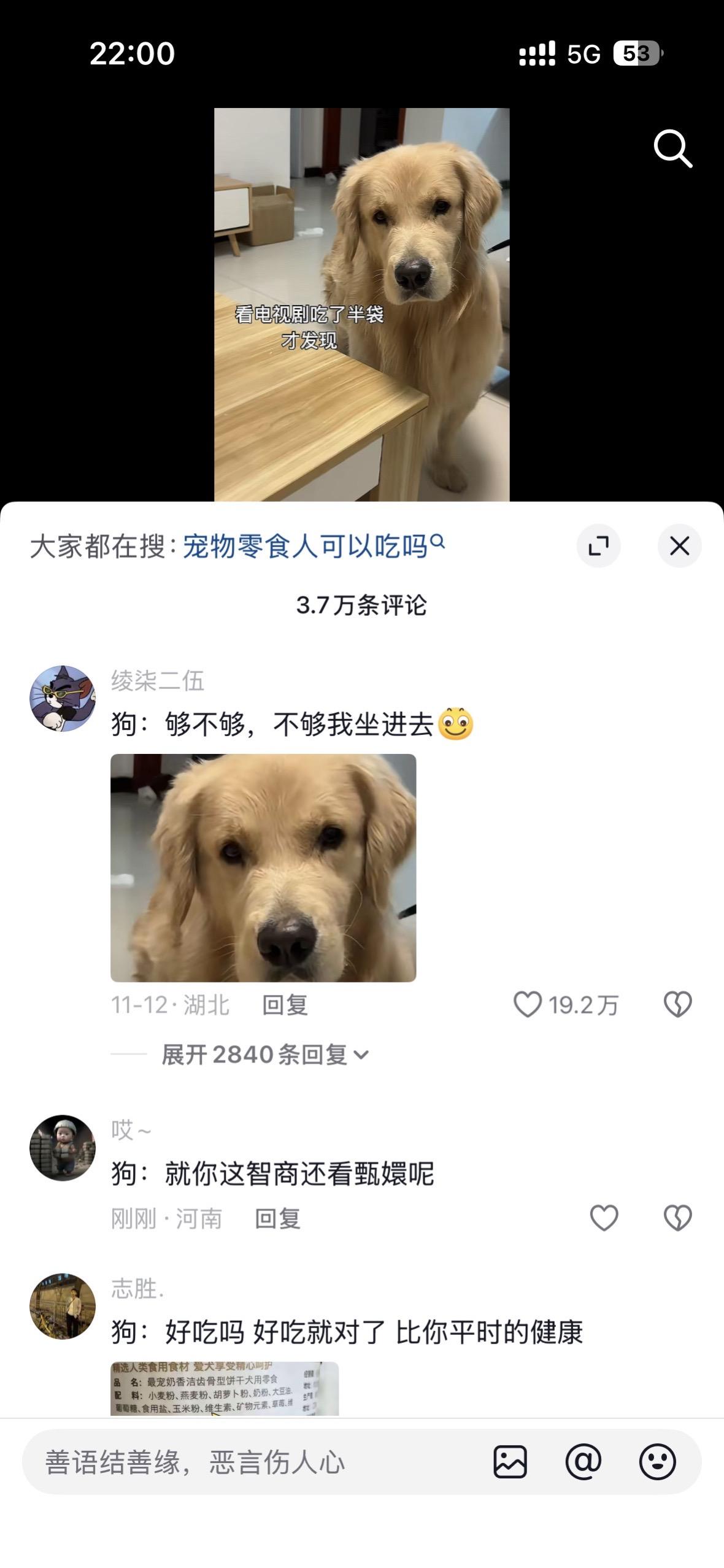 哈哈哈！🤣