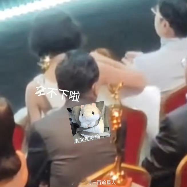 #李现金鹰节帮赵丽颖卷海报#🎉金鹰节精彩瞬间回顾：李现贴心举动，温暖赵丽颖心田