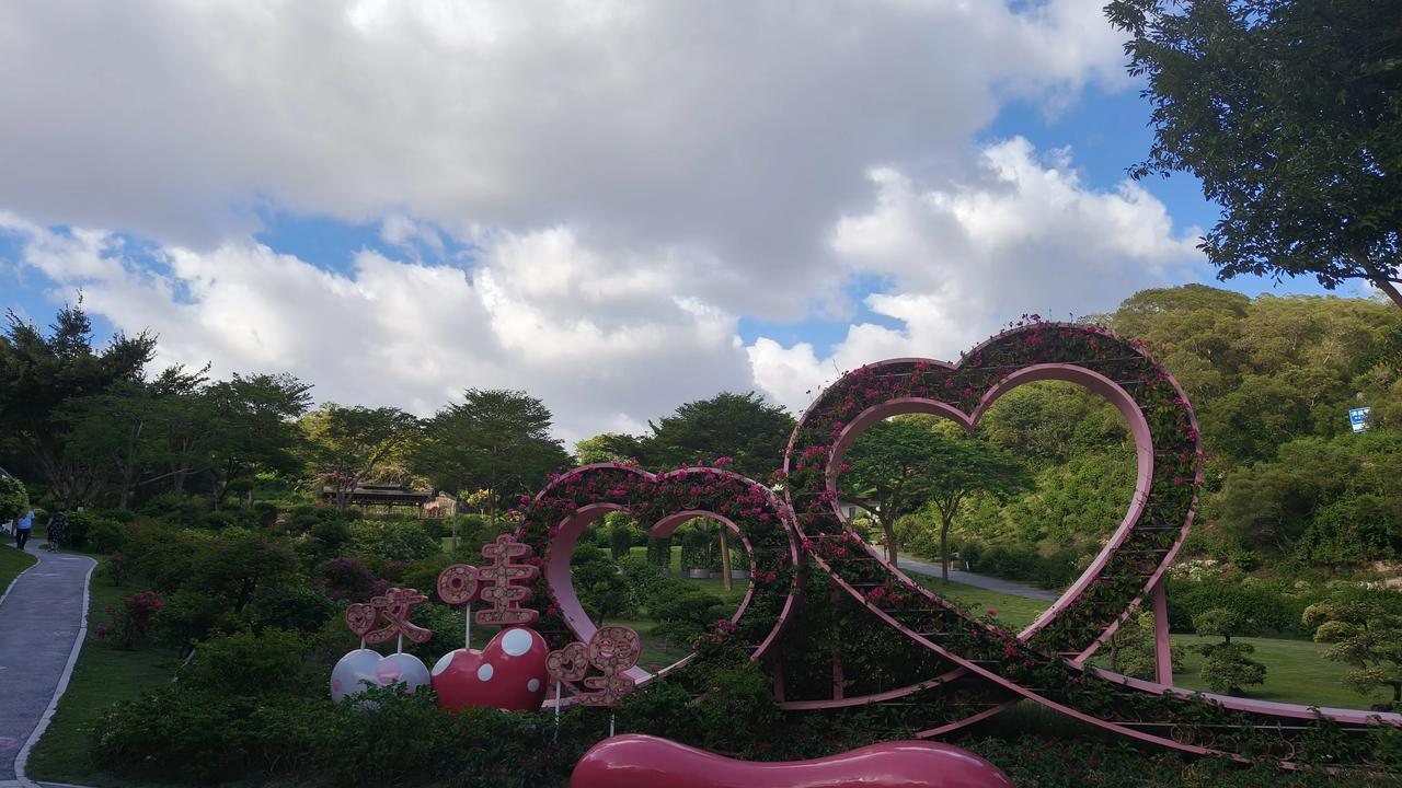 #一句话记录秋日心情#秋雨空疏极，声圆荷叶闻。光移罨山景，凉拂过枝云。晚水鱼登市